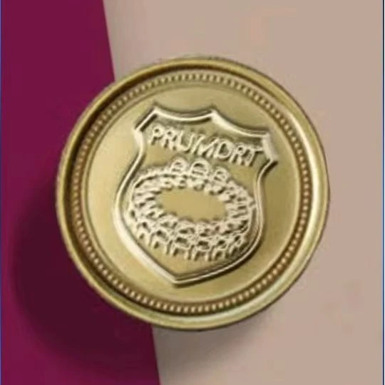 custom coins 1